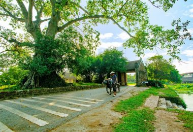 Hanoi Lang Co Duong Lam