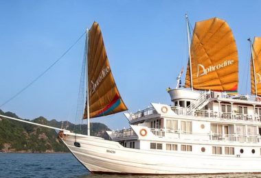 Aphrodite cruises BannerD