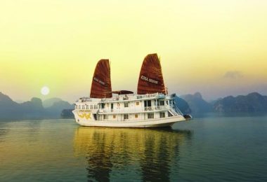 Rosa cruise on morning