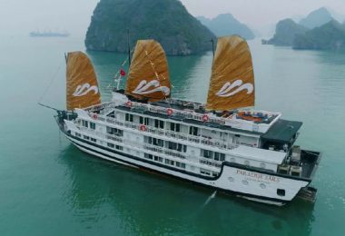 Paradise Cruise Suite Cabins