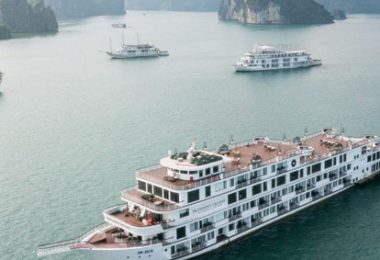 President Cruise Banner-B