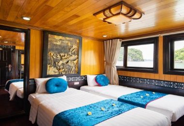 Family room Swan Cruise