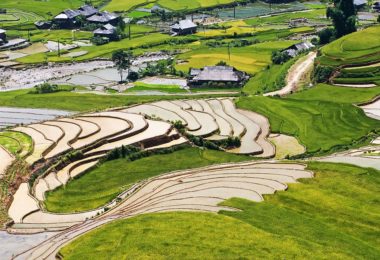 Nghia Lo Thai Village – Homestay – Mu Cang Chai Tour: 3 days