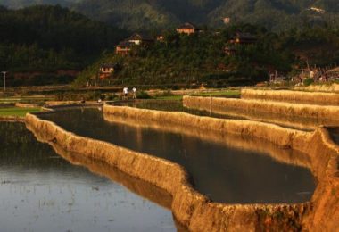 Yen Bai - Mu Cang Chai Rice Terrace (14)