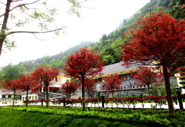 Ban Gioc Resort & waterfall
