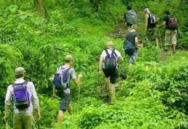 Cuc Phuong Park Trekking