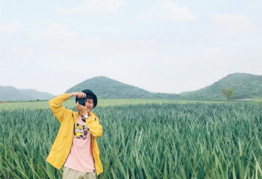 Ninh Binh Tam Diep Pineapple