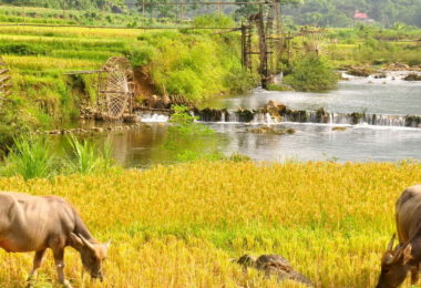 Pu Luong Travel Tours Trekking Homestay