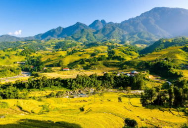 Sapa Rice Terraces