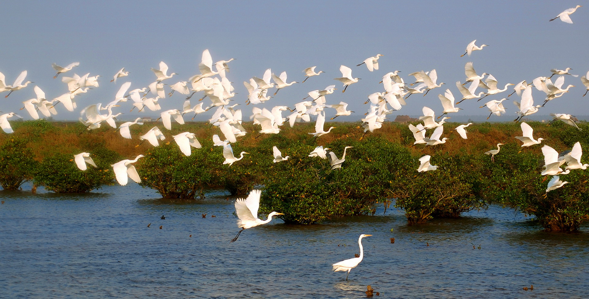 Attractions in Thai Binh