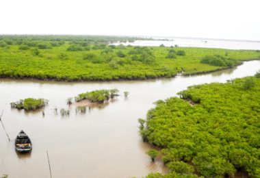 Xuan Thuy National Park