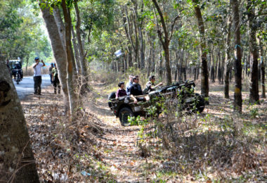 Experience driving in Rubber Platation on way to Cu Chi tunnels