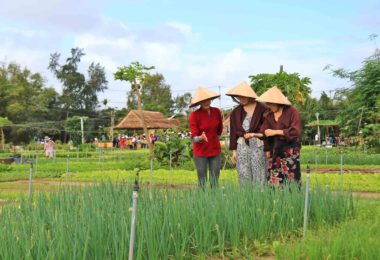 Tra Que Vegetable Village Travel