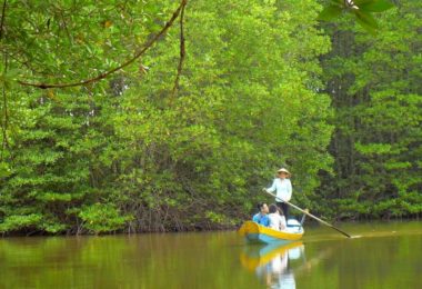 Can Gio Mangrove Forest Trip