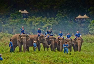 Chiang Dao Trek And Elephant Camp Thai Land